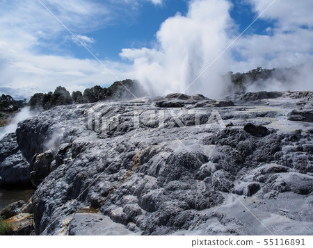 Rotorua te Puia Pohutzgeiser Pohutu Geyser, Te Puia, Rotorua Rotorua te Puia Pohutzgeiser Pohutu Geyser, Te Puia, Rotorua 55116891