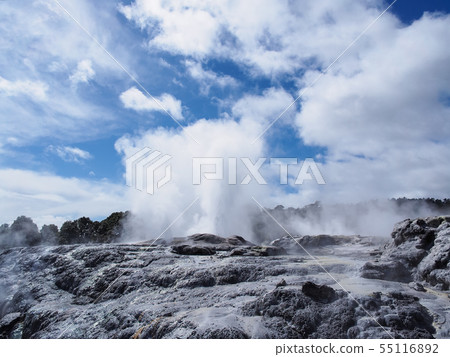 Pohutu Geyser, Te Puia, Rotorua Pohutu Geyser, Te Puia, Rotorua 55116892