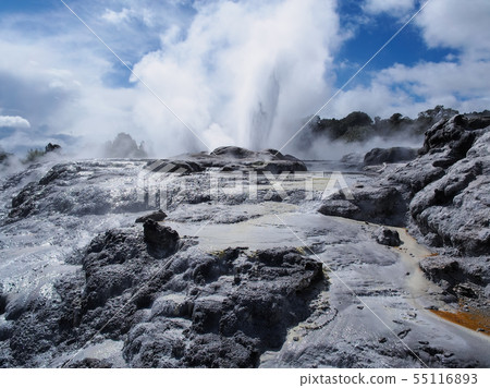 Rotorua te Puia Pohutzgeiser Pohutu Geyser, Te Puia, Rotorua 55116893