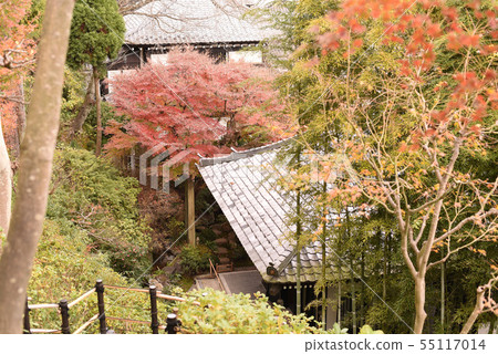 Kamakura Hase-dera Autumn leaves Kamakura Hase-dera Autumn leaves 55117014