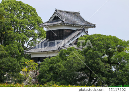 Kumamoto Castle Kumamoto Castle 55117302