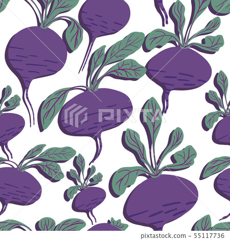 Hand drawn beet seamless pattern on white background. Hand drawn beet seamless pattern on white background. 55117736