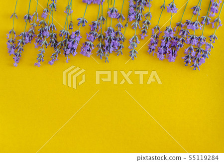 bouquet of fresh lavender flowers on a bright bouquet of fresh lavender flowers on a bright 55119284
