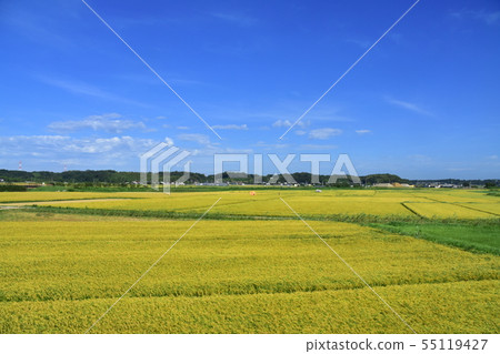 Scenery along Sotake Main Line 55119427