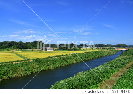 JR East, Sobu Main Line, train window view between Monoi Station and Sakura Station 55119428