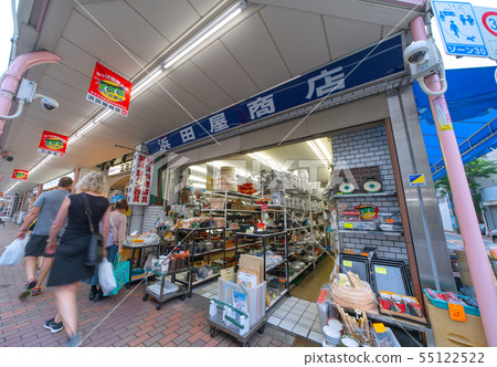 Tokyo cityscape in Japan 55122522