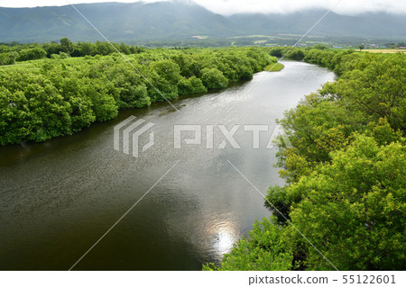 在北海道Shouto流動的太田河河口附近拍攝夏日風景 在北海道Shouto流動的太田河河口附近拍攝夏日風景 55122601