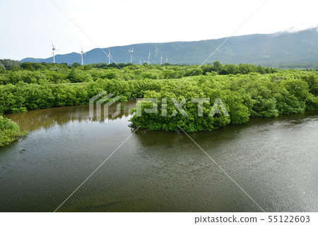 在北海道Shouto流動的太田河河口附近拍攝夏日風景 在北海道Shouto流動的太田河河口附近拍攝夏日風景 55122603