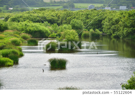 在北海道Shouto流動的太田河河口附近拍攝夏日風景 55122604