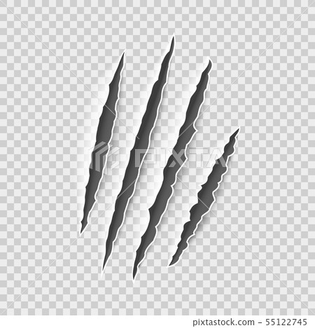 Claw marks. Claws scratches, cat and tiger, lion and bear animals paws attack tracks. Halloween 55122745
