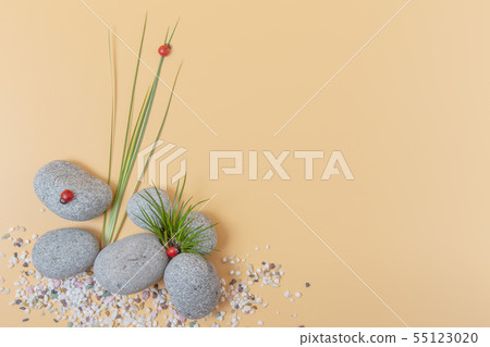 Plants, pebbles and ladybugs 55123020