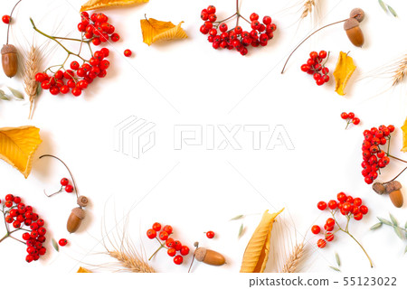 Autumn background with with bright ripe rowen 55123022