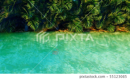 Amazing fantastic pond in the jungle. Clear day. Green palm trees, clear water, insects and Amazing fantastic pond in the jungle. Clear day. Green palm trees, clear water, insects and 55123085