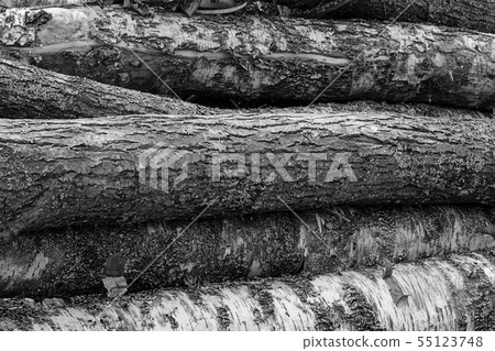 wall logs toned gray horizontal thick trees hard wall logs toned gray horizontal thick trees hard 55123748