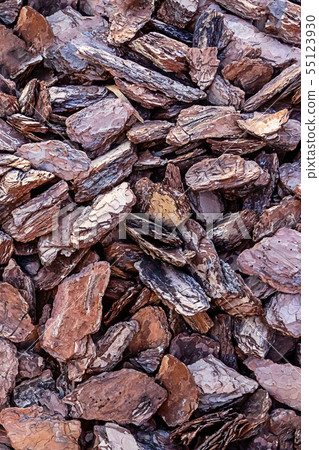 wooden bark pieces vertical pattern dark brown 55123930