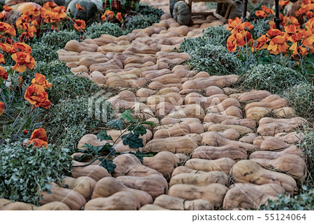 winding path art pumpkin orange muscat decor winding path art pumpkin orange muscat decor 55124064