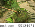 竹子和水 55124971