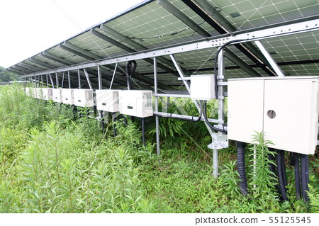 太陽能發電廠被雜草包圍 太陽能發電廠被雜草包圍 55125545