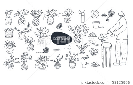 Kokedama set. Doodle vector asian plant collection Kokedama set. Doodle vector asian plant collection 55125906