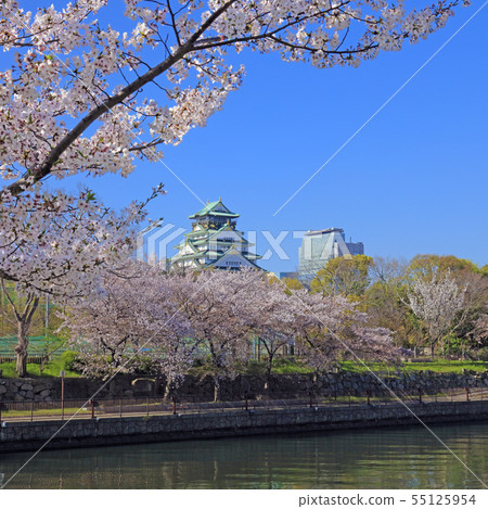 Osaka Castle northeast side (from Shirokitagawa) 55125954