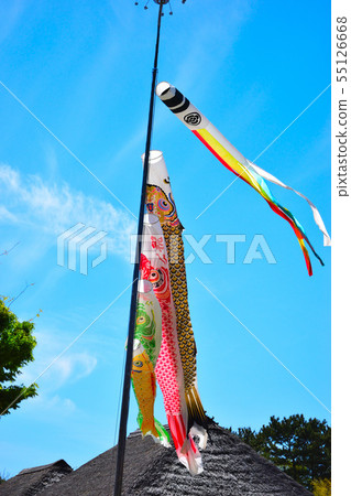Carp streamer on a weather day 55126668