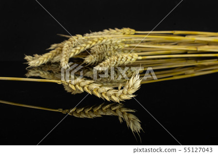 Ripe bread wheat isolated on black glass 55127043