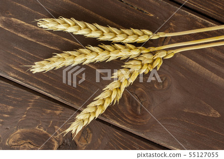 Ripe bread wheat on brown wood Ripe bread wheat on brown wood 55127055