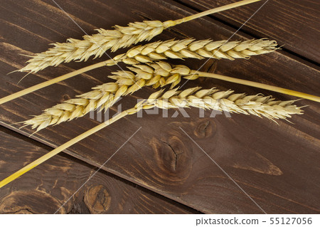 Ripe bread wheat on brown wood 55127056