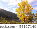 Iwaouchi Lake suburb Ginkgo autumn 55127140