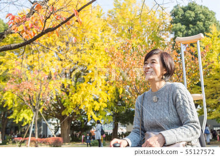 Autumn leaves hunt with electric wheelchair Autumn leaves hunt with electric wheelchair 55127572