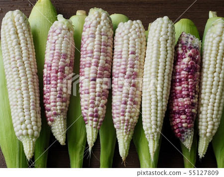 Korea's Fresh Organic Corn Korea's Fresh Organic Corn 55127809