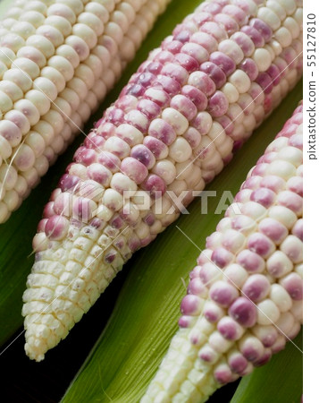 Korea's Fresh Organic Corn Korea's Fresh Organic Corn 55127810