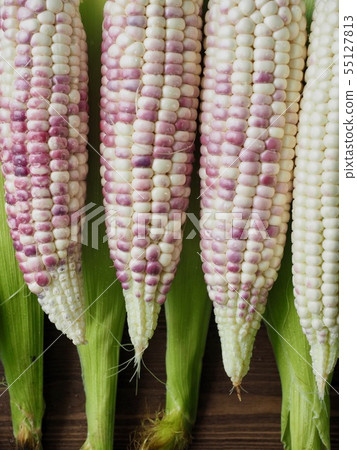 Korea's Fresh Organic Corn Korea's Fresh Organic Corn 55127813