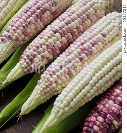 Korea's Fresh Organic Corn Korea's Fresh Organic Corn 55127815