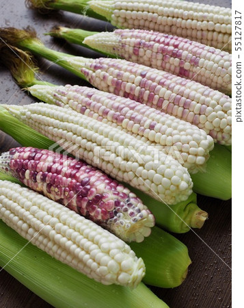 Korea's Fresh Organic Corn Korea's Fresh Organic Corn 55127817