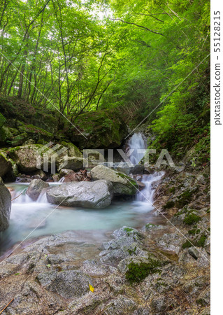 Nishitanzawa waterfall tour Nishizawa Nishitanzawa waterfall tour Nishizawa 55128215