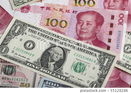 US Dollar and RMB US Dollar and RMB 55128286