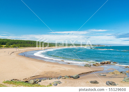 Hachinohe City Aomori Prefecture Shirahama Coast Sea Sandy Beach 55129608
