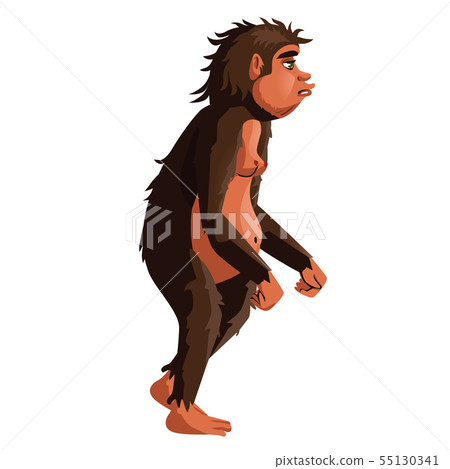 Ancient monkey, human ancestor illustration Ancient monkey, human ancestor illustration 55130341