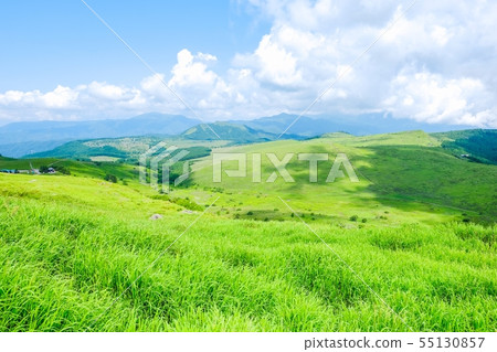 Landscape of Kurumayama plateau (summer) 55130857