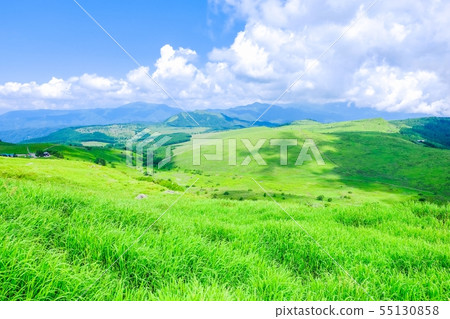 Landscape of Kurumayama plateau (summer) 55130858