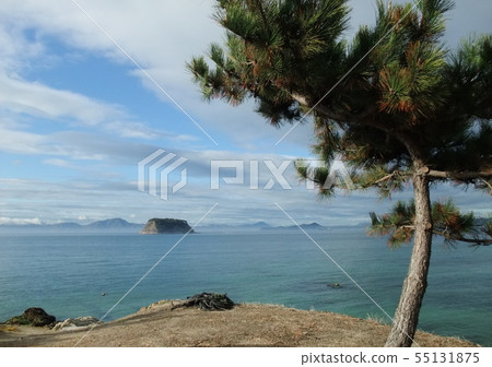 Water castle in the Seto Inland Sea, Sakai 55131875