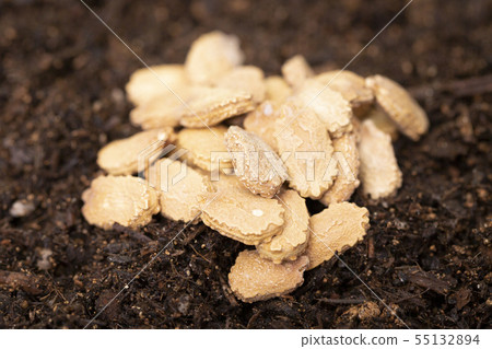 collection of healthy superfood, close up of various seeds 168 collection of healthy superfood, close up of various seeds 168 55132894