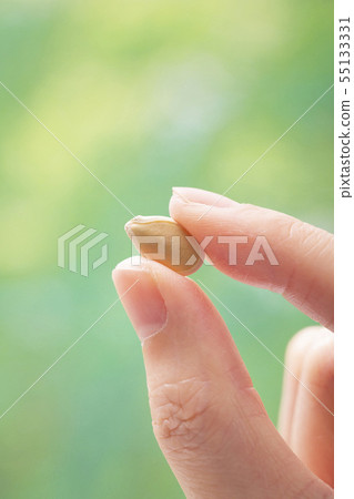 collection of healthy superfood, close up of various seeds 046 55133331