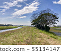 沿河的風景 55134147