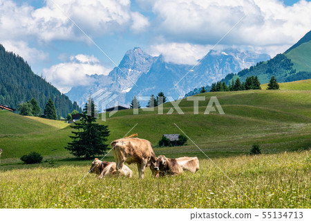 Little village Rinnen near Imst in Tirol Austria, Europe Little village Rinnen near Imst in Tirol Austria, Europe 55134713