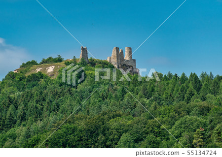 Castle ruin Hohenburg, Upper Palatinate in Bavaria, Germany Castle ruin Hohenburg, Upper Palatinate in Bavaria, Germany 55134724