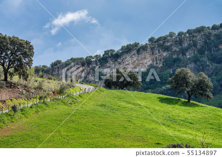 Landscape of Sierra de Grazalema natural park, Cadiz province, Andalusia, Spain. Landscape of Sierra de Grazalema natural park, Cadiz province, Andalusia, Spain. 55134897