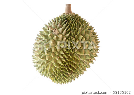 Malaysia famous fruits durian Musang King 55135102