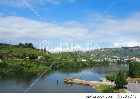 Portugal (landscape of Douro valley) Portugal (landscape of Douro valley) 55135775